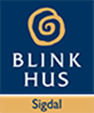 Blink Hus Sigdal